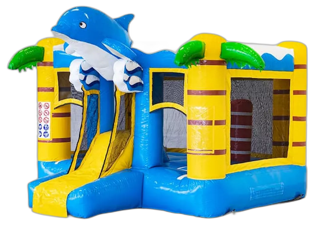 Mini Bounce Dolfijn 🐬